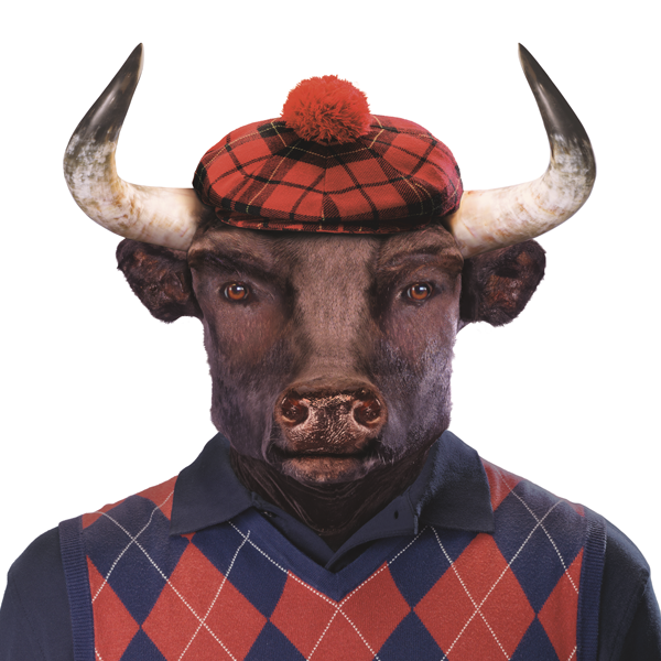 logo of Premium Flank Steak Beef Jerky | Kingmade Jerky